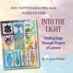 HZN20172 Into the Light audio